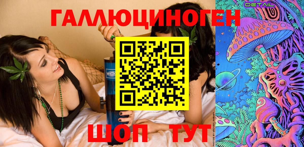 Псилоцибиновые грибы Psilocybe Домодедово
